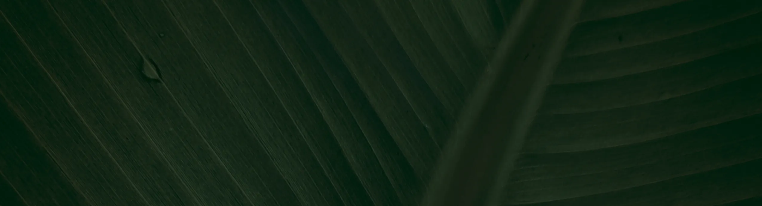 Annual Membership Pass